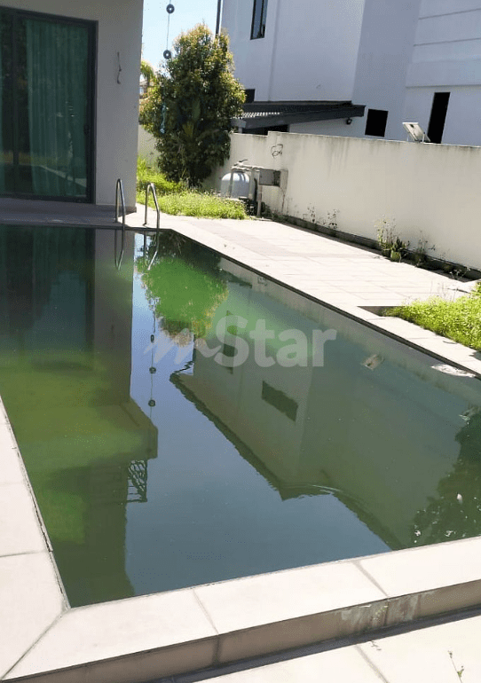 The pool was not maintained well