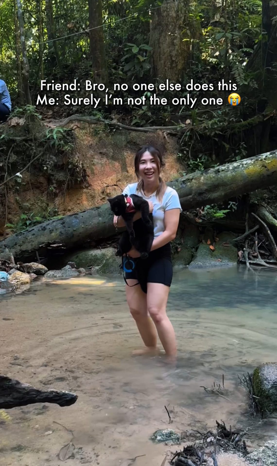 This Adventure-Loving Cat Hikes Better Than Most Humans, Leaving Us Asking Why Our Cats “Only Want Aircond Room”