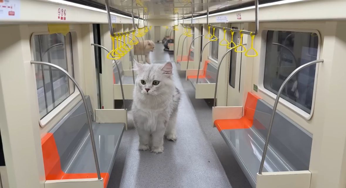 This YouTuber Spends 4 Months Building Mini Subway Station For His Maine Coon Cats
