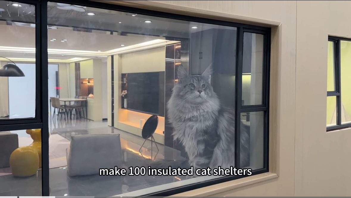  This YouTuber Spends 4 Months Building Mini Subway Station For His Maine Coon Cats