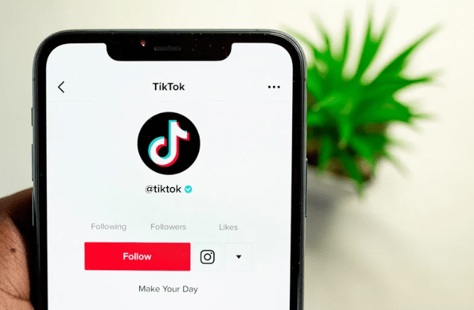 TikTok app