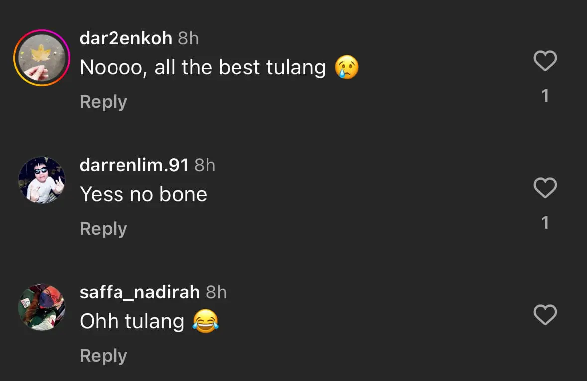 TULANG MEKDI RESIGNS COMMENT