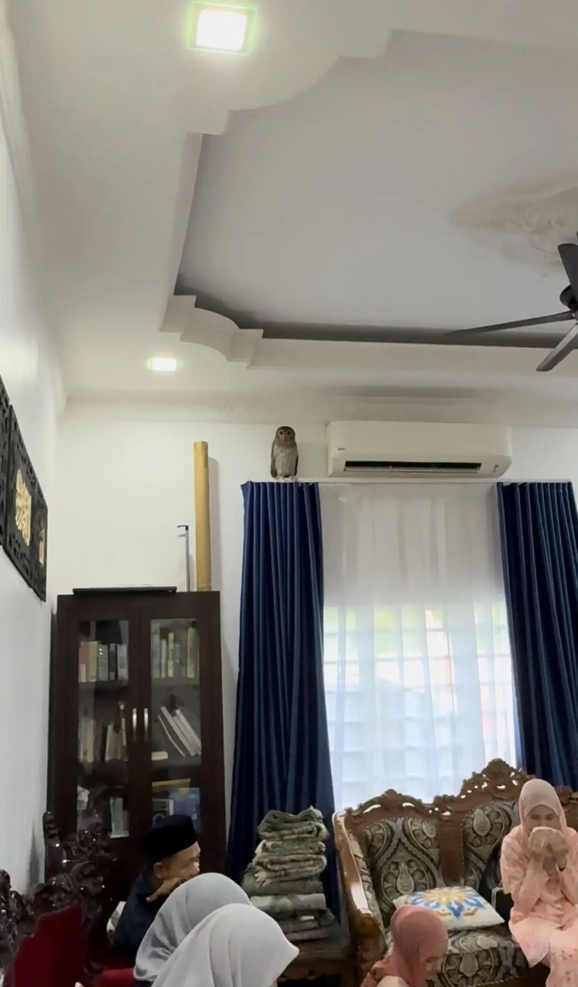 Unbothered Owl Casually Crashes M’sian Raya Open House & Becomes The Main Character Without Even Trying