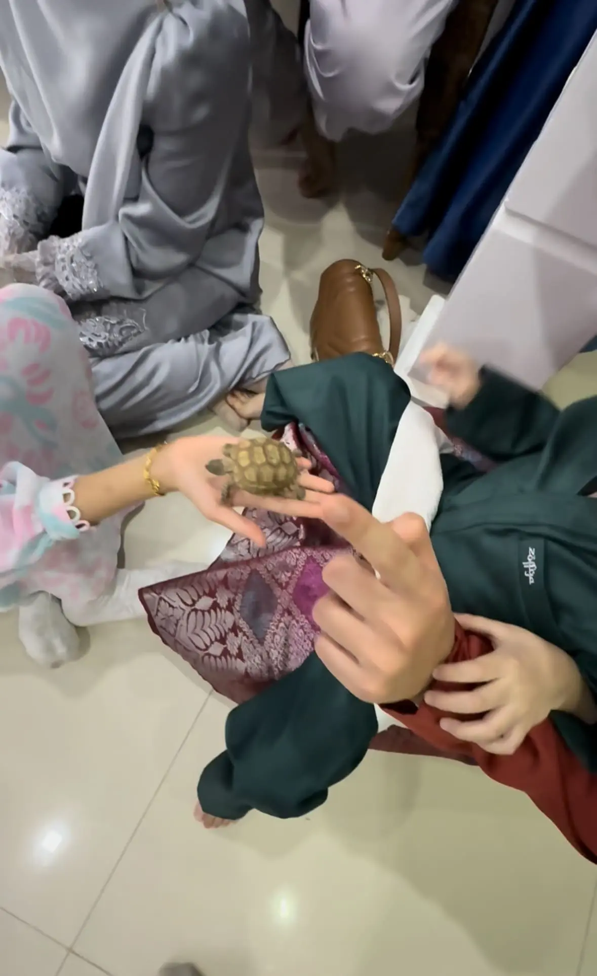 Unbothered Owl Casually Crashes M’sian Raya Open House & Becomes The Main Character Without Even Trying