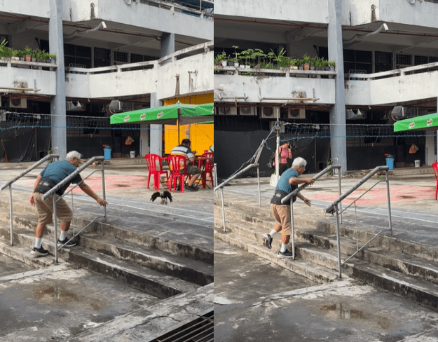 Uncle tries to recover RM70 from crow