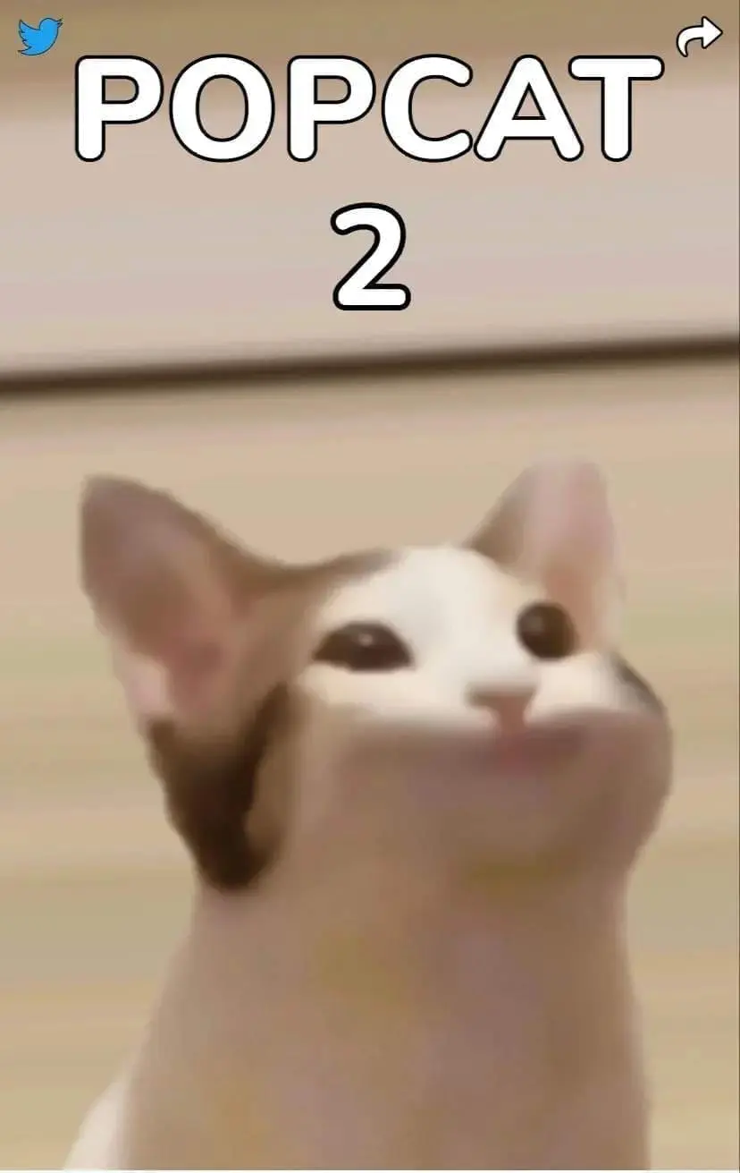 Popcat.click website.