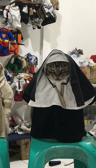 Valak cat in character