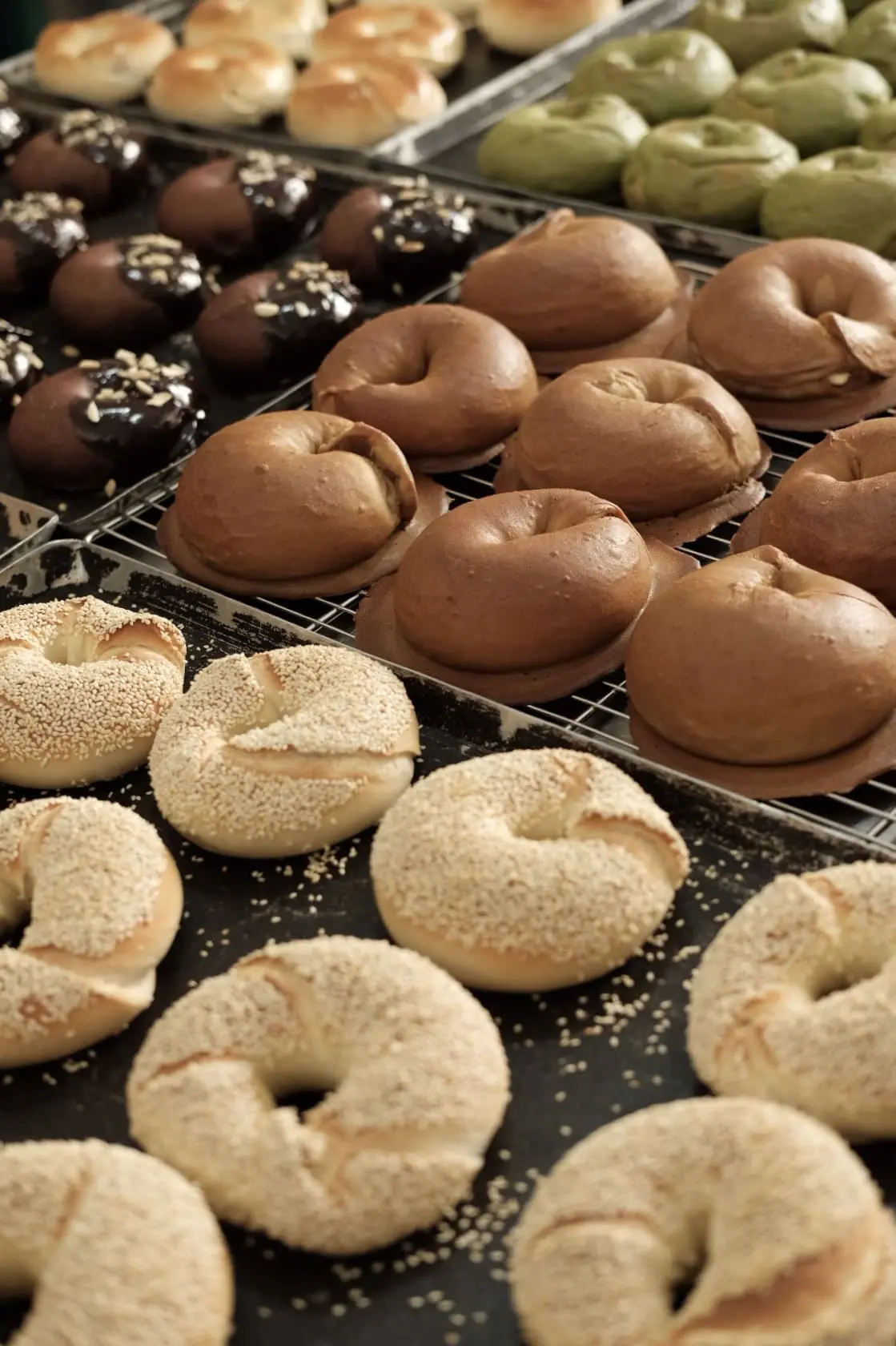 Variety of bagels at Grumpy Bagels