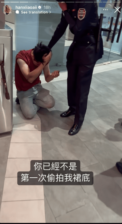 Voyeur apprehended by police