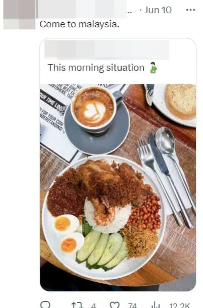 Former Canadian Environment Minister Triggers M'sians After Saying She Had The Best Nasi Lemak Breakfast In S'pore comment 3