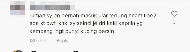 M'sian Mum Saves 4 Sleeping Kids from Cobra That Invaded Their House At Midnight comment 2