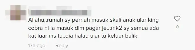 M'sian Mum Saves 4 Sleeping Kids from Cobra That Invaded Their House At Midnight comment 3