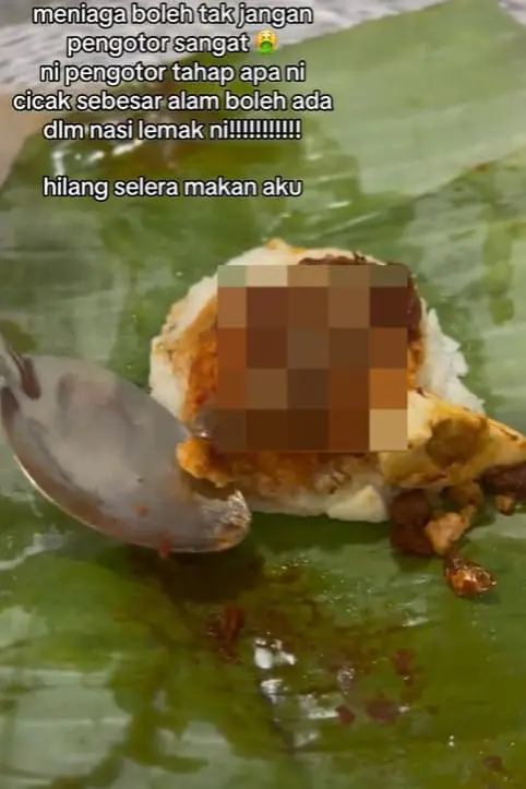 M'sian Woman Left Disgusted To Find Dead Lizard Inside Nasi Lemak