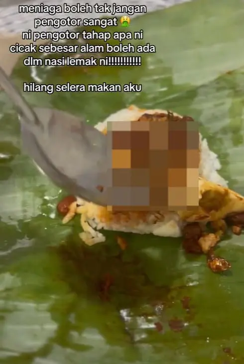M'sian Woman Left Disgusted To Find Dead Lizard Inside Nasi Lemak