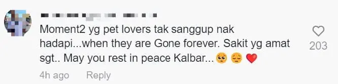 M’sian Netizens Mourn The Passing Of Guinea Pig Which Was A TikTok Star comment 3