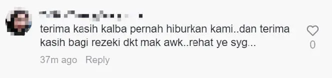 M’sian Netizens Mourn The Passing Of Guinea Pig Which Was A TikTok Star comment 2