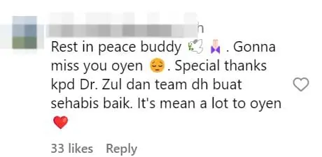 Oyen Rescued From Elmina Plane Crash Has Died Of Its Injuries comment 2