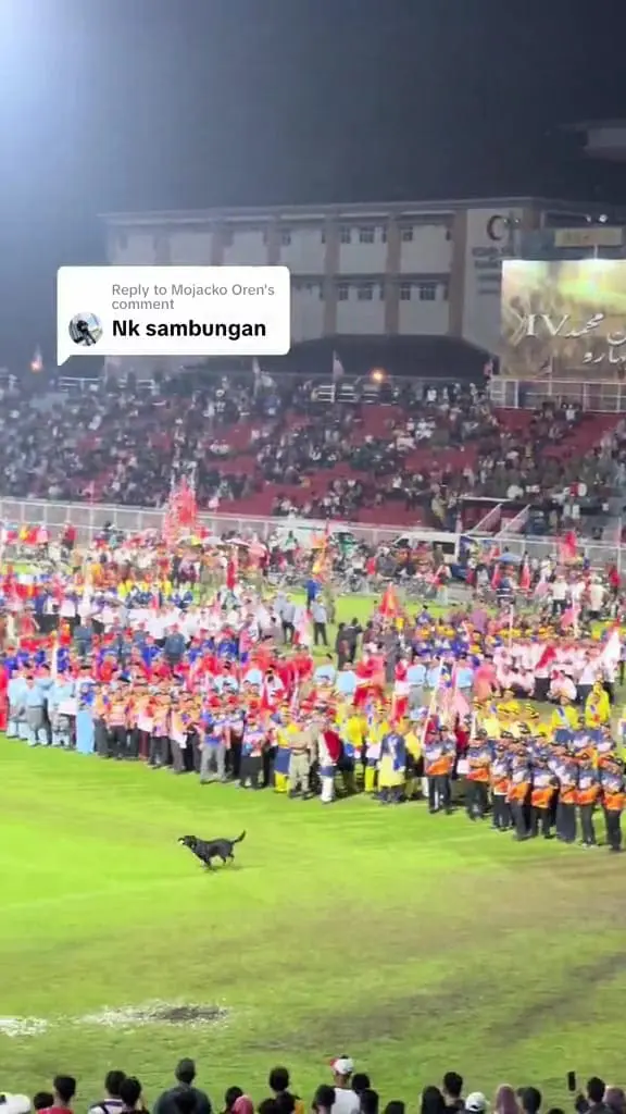 A black dog running in a field full of people