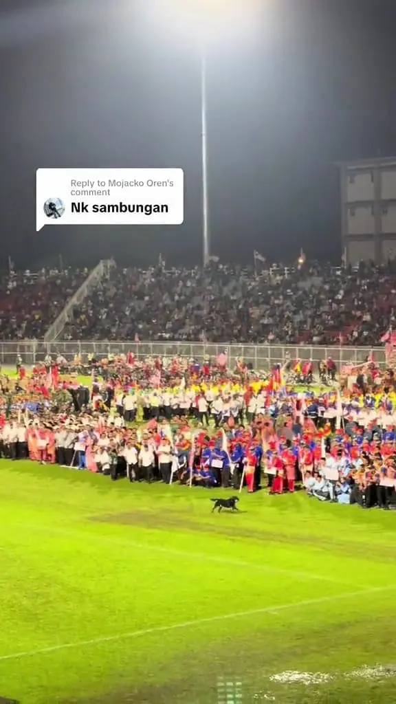 K-9 Dog running towards the people who were standing in the field