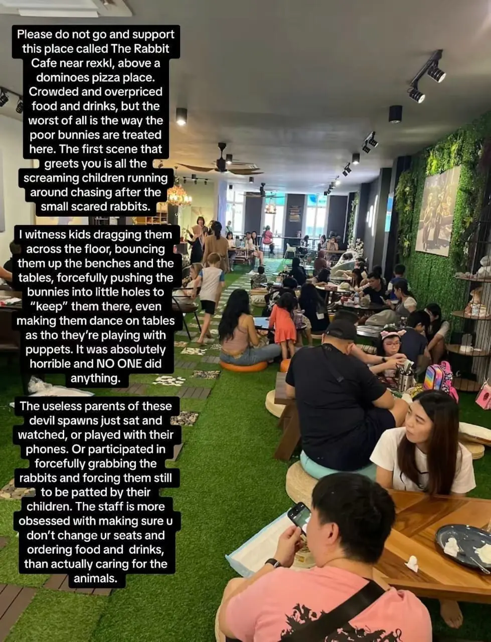 Msian complains about the mistreatment of animals at a pet-friendly cafe