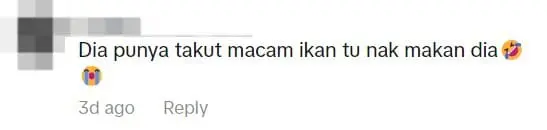 "Is My Cat Broken?" — M'sian Man's Cat Flees After He Tried Offering It Raw Fish