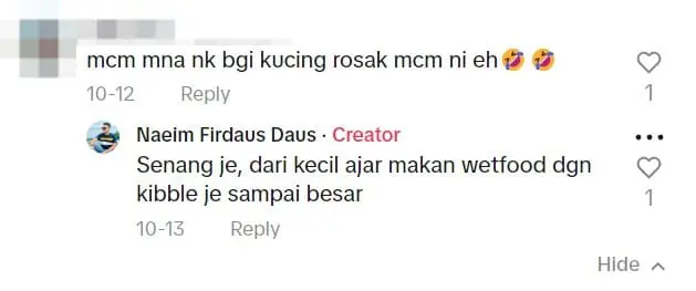 "Is My Cat Broken?" — M'sian Man's Cat Flees After He Tried Offering It Raw Fish