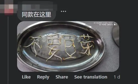 M'sian Complains About Having Bean Sprouts In Fried Noodles, Pulls Out 92 Of Them As Proof