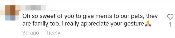 M'sian Woman Honors Her Rescue Dogs That Have Died By Offering Prayers During Deepavali