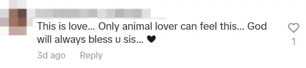 M'sian Woman Honors Her Rescue Dogs That Have Died By Offering Prayers During Deepavali