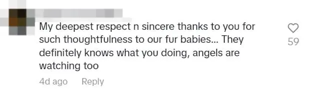 M'sian Woman Honors Her Rescue Dogs That Have Died By Offering Prayers During Deepavali