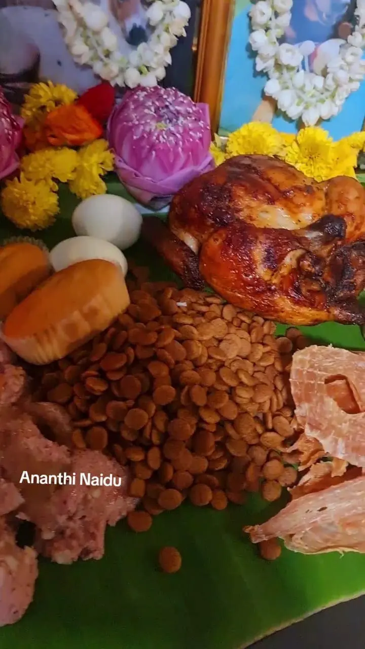 Foods that were served for the deceased furry companions.