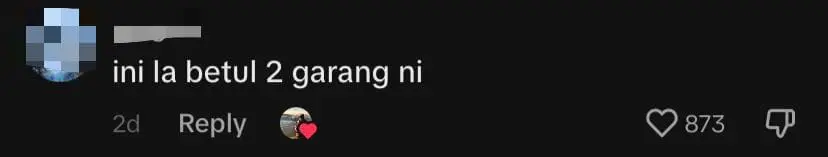 M’sian Woman Who Comes Across “Beware of Fierce Dog” Sign Gets Greeted With Little Kisses And Taps comment 3