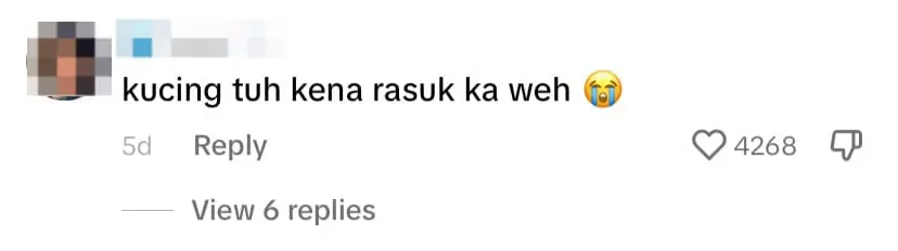 M’sian Man Can’t Poop In Peace With A Cat Intently Watching Him - comment