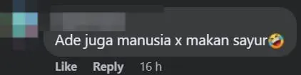 "If I Eat Them, I Will Die" – M'sian Customer Wittily Requests Veggie-Free Fried Rice In Order Note