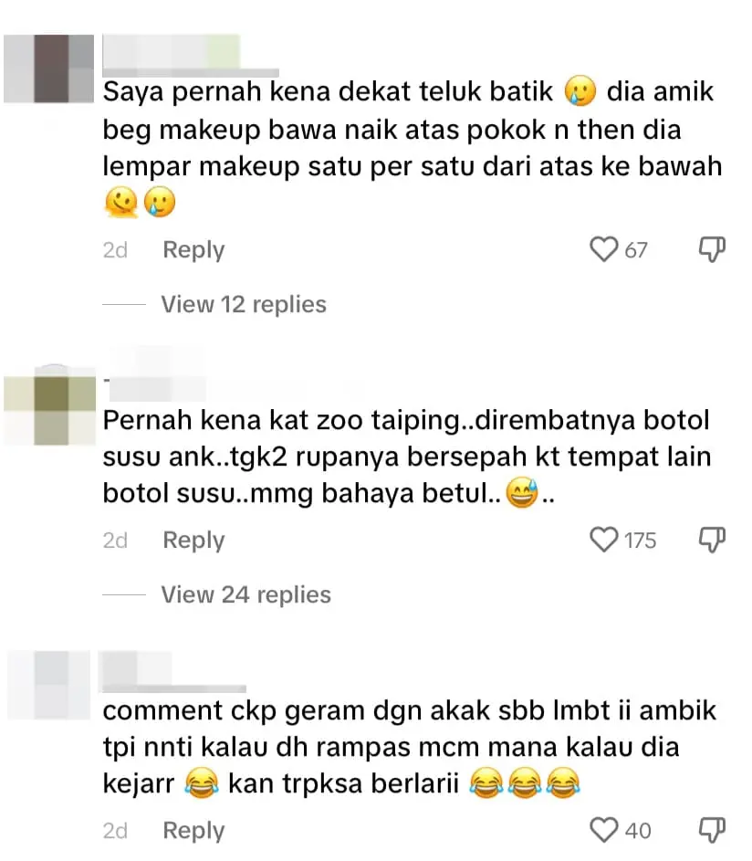 Monkey Steals M'sian Woman's Bag & Drinks Milk Straight From Baby Bottle comment 1