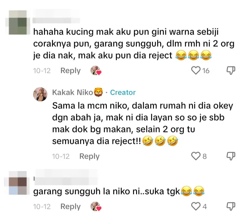 M’sian Man Protects Himself From Oyen’s Relentless Swipes With Helmet comment 1