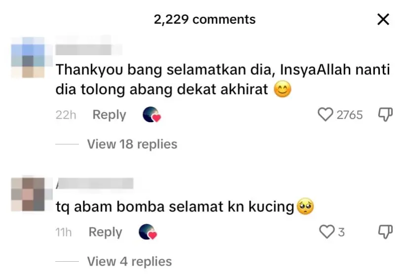 Abang Bomba Saves Cat From Drowning Under Penang Bridge Captures Hearts comment 2
