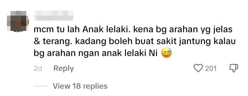 Netizen comment 2