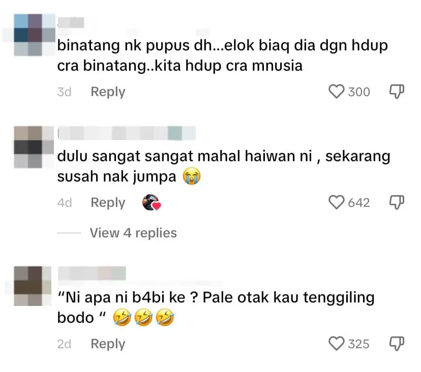 Netizen comment