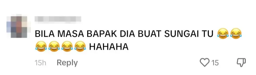 Netizen comment 3