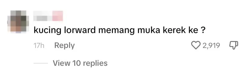 Netizen comment