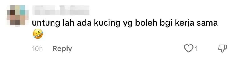Netizen comment