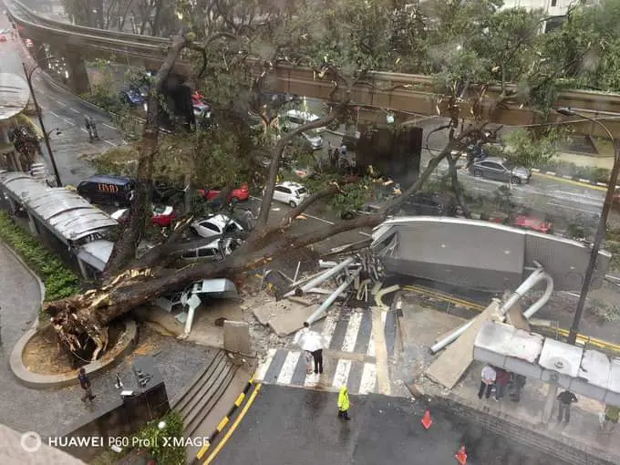 Tree fall down on Jalan Sultan