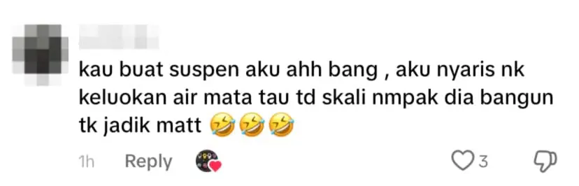 netizen comment