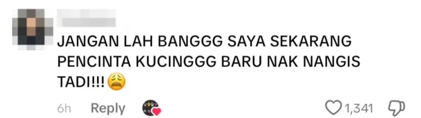 netizen comment