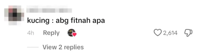 netizen comment