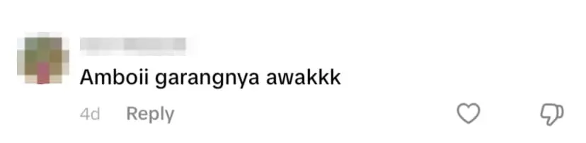 netizen comment