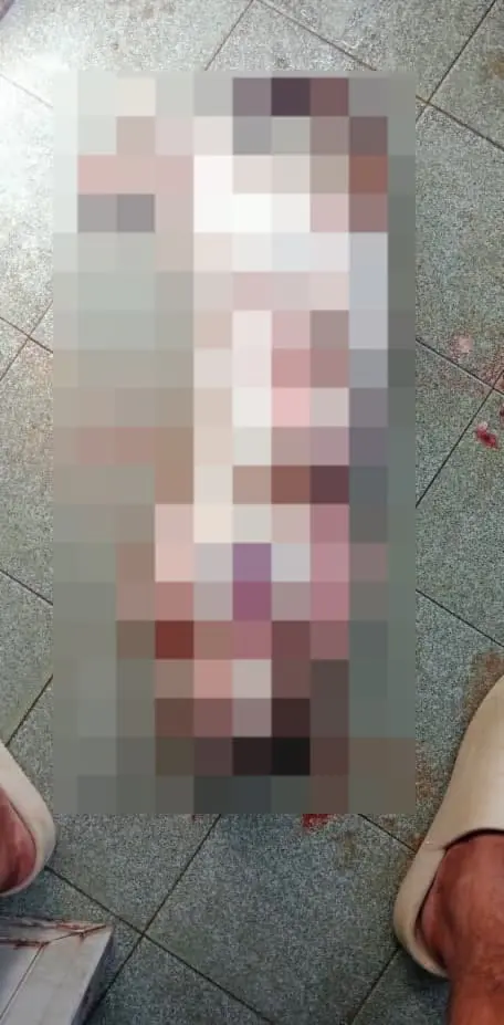 cat slaughter in Batu Belah, Klang, 2024 June