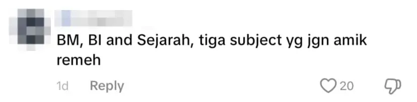 netizen comment