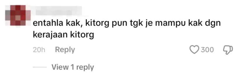 netizen comment